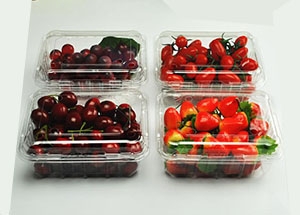 防城港水果盒